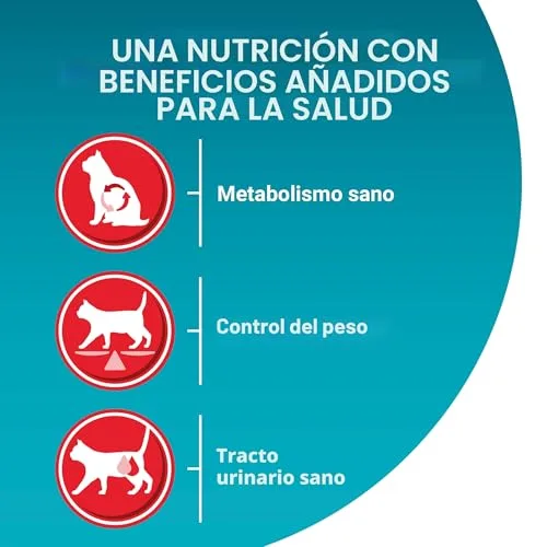 PURINA ONE ▫️ Gato bifensis Especial para gatos esterilizados, com carne de vaca e trigo, ração para gatos adultos, 9,7 kg 4