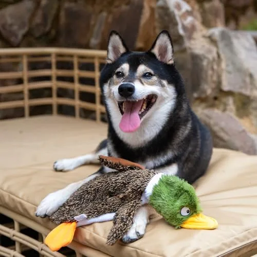 Best Pet Supplies ▫️ Brinquedos que fazem barulho 2 em 1 para cães, com tecido macio e resistente, para animais de estimação pequenos, médios e grandes, sem enchimento, para brincar em espaços interiores, em forma de pato e crocodilo, tamanho M 7