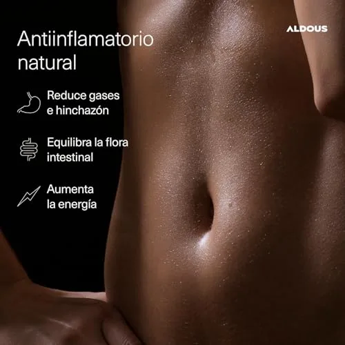 Aldous Bio ▫️ Cúrcuma com Gengibre e Pimenta Preta PROBIÓTICOS - 250 cápsulas - 1460 mg 4