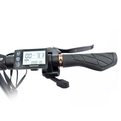 SMARTGYRO ▫️ Speedway Pro - Patinete elétrico de 48 V, potência máxima de 1000 W, bateria de 15 Ah, autonomia de 60 km, rodas de 10 polegadas Dual Grip, suspensões, sistema de travagem triplo, certificado pela DGT 5