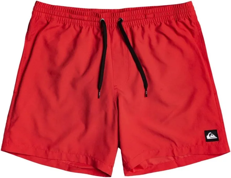Quiksilver Boys Everyday Youth Shorts