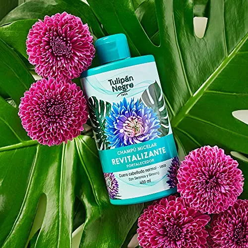 TULIPAN NEGRO ▫️ Tulipán Negro - Champô Micelar Revitalizante e Fortalecedor, Cuidado para Cabelo Normal a Seco, com Serenoa e Ginseng, 400 ml 4