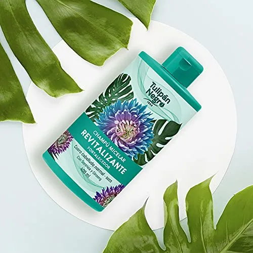TULIPAN NEGRO ▫️ Tulipán Negro - Champô Micelar Revitalizante e Fortalecedor, Cuidado para Cabelo Normal a Seco, com Serenoa e Ginseng, 400 ml 5