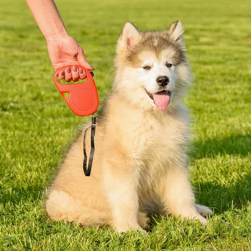 Ferplast ▫️ Trela retrátil para cães de tamanho médio Flippy One Cord S, corda extensível de 4,5 m, até 12 kg, vermelha 3