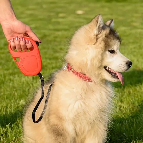 Ferplast ▫️ Trela retrátil para cães de tamanho médio Flippy One Cord S, corda extensível de 4,5 m, até 12 kg, vermelha 4