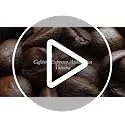 PRIXTON ▫️ Máquina de café automática Toscana para café expresso e adaptador para cápsulas, bomba italiana de 850 W e 20 bar de pressão, vaporizador 7