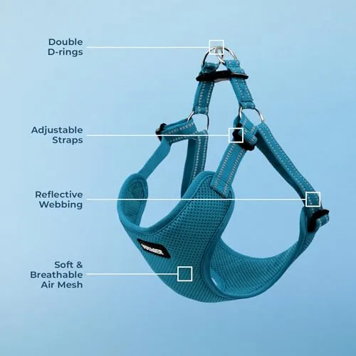 Best Pet Supplies ▫️ Voyager - Arnês ajustável para cães com riscas refletoras, colete resistente que cobre todo o corpo, sem puxões, com argola em D para a trela, respirável, turquesa, tamanho L 3
