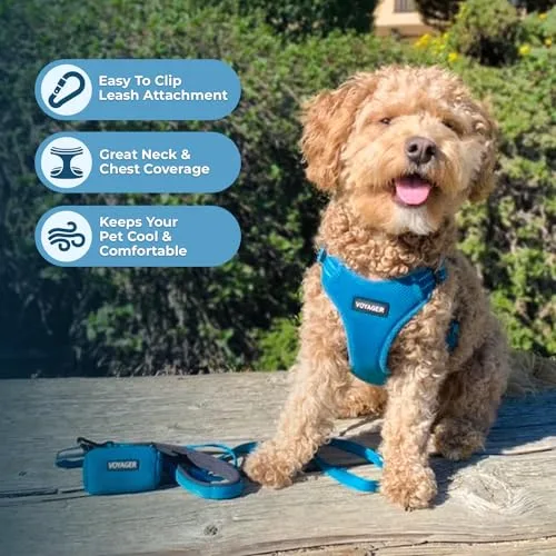 Best Pet Supplies ▫️ Voyager - Arnês ajustável para cães com riscas refletoras, colete resistente que cobre todo o corpo, sem puxões, com argola em D para a trela, respirável, turquesa, tamanho L 5