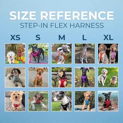 Best Pet Supplies ▫️ Voyager - Arnês ajustável para cães com riscas refletoras, colete resistente que cobre todo o corpo, sem puxões, com argola em D para a trela, respirável, turquesa, tamanho L 6