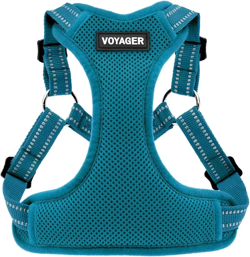 Best Pet Supplies ▫️ Voyager - Arnês ajustável para cães com riscas refletoras, colete resistente que cobre todo o corpo, sem puxões, com argola em D para a trela, respirável, turquesa, tamanho L