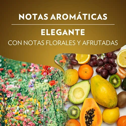 Lavazza ▫️ Qualità Oro, 100 cápsulas de café compatíveis com as máquinas Nespresso* Original, com notas aromáticas florais e frutadas, 100% Arábica, intensidade 8, torra leve 6