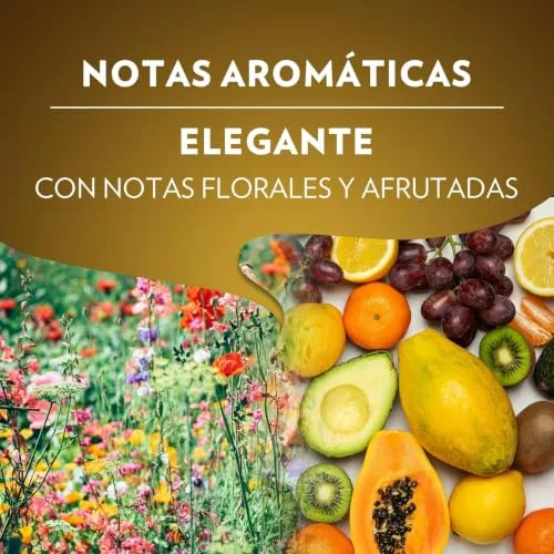 Lavazza ▫️ Qualità Oro, 10 cápsulas de café compatíveis com as máquinas Nespresso* Original, com notas aromáticas florais e frutadas, 100% Arábica, intensidade 8, torra leve 6