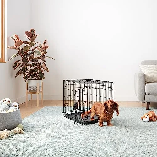 Amazon Basics ▫️ Gaiola para cães em arame metálico, dobrável, com tabuleiro, porta única, 61 x 46 x 51 cm (C x L x A), preta 6