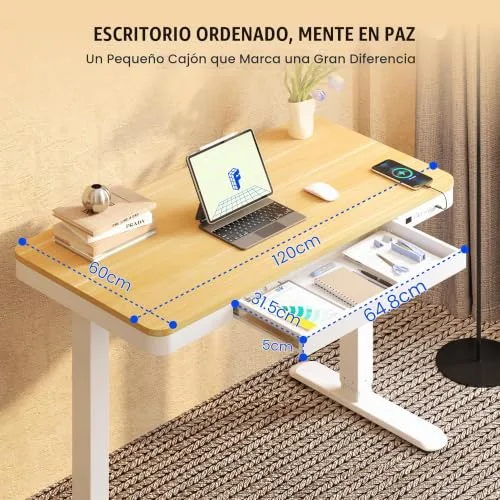 FLEXISPOT ▫️ Mesa elevável 120 x 60 cm, gaveta, USB-C, bloqueio de segurança para crianças 6