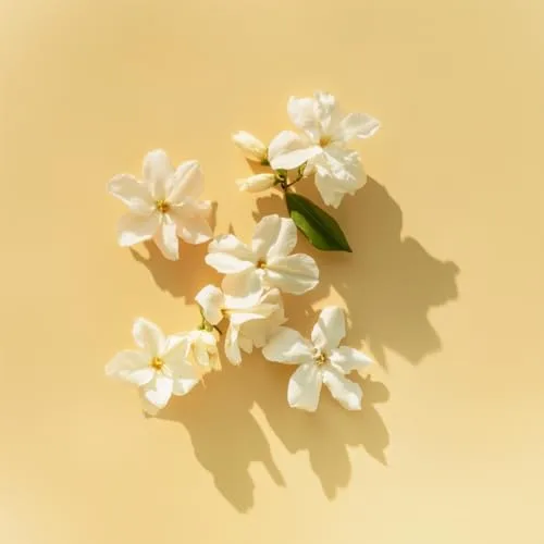 Elie Saab ▫️ Le Parfum Lumière 30 ml, Água de Perfume para Mulher 3