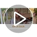 EZPIK ▫️ ® - Pinças para apanhar objetos de 90 cm - Presentes para idosos e pessoas com mobilidade reduzida - Extensíveis com íman telescópico - Ideais para lixo e fruta [Prateado, 1 unidade] 7