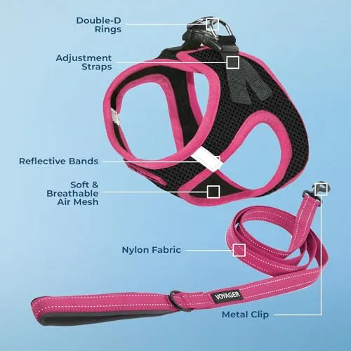 Best Pet Supplies ▫️ Voyager Step-in Air - Arnês em malha para todos os tipos de clima e trela refletora de 5 pés com pega em neoprene, para cães pequenos, médios e grandes, com rebordo preto/rosa, tamanho S 4
