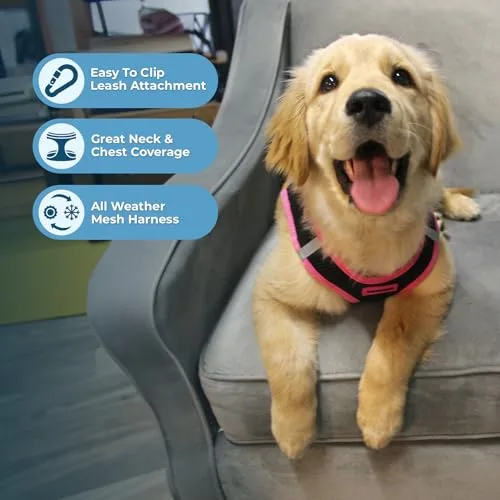 Best Pet Supplies ▫️ Voyager Step-in Air - Arnês em malha para todos os tipos de clima e trela refletora de 5 pés com pega em neoprene, para cães pequenos, médios e grandes, com rebordo preto/rosa, tamanho S 6