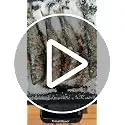 Bastilipo ▫️ VFT-1500, Grelha elétrica antiaderente - 1500 W de potência - pegas em aço. 4