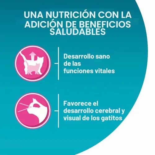 PURINA ONE ▫️ Single Serve - Junior - Frango - 4x85 g 5