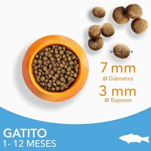 IAMS ▫️ Ração Seca para Gatinhos de 1 a 12 meses, Peixe do oceano, 10 kg 2