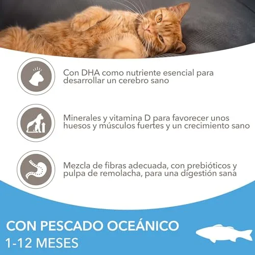 IAMS ▫️ Ração Seca para Gatinhos de 1 a 12 meses, Peixe do oceano, 10 kg 3