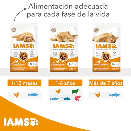 IAMS ▫️ Ração Seca para Gatinhos de 1 a 12 meses, Peixe do oceano, 10 kg 4