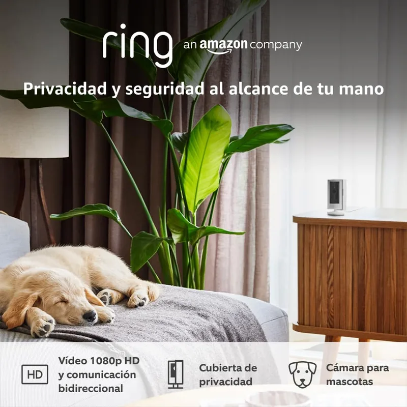 Ring ▫️ Câmara de interior (Câmara de interior de 2ª geração) | Câmara de vigilância Wifi com plug-in para animais de estimação | Vídeo HD 1080p, comunicação bidirecional, cobertura de privacidade | 30 dias grátis Home