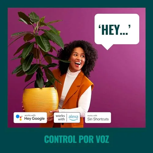 WiZ ▫️ Guirlanda de lâmpadas LED inteligentes, luz branca e 16 milhões de cores, 15 m e 12 lâmpadas, Wi-Fi, compatível com Matter, com tecnologia SpaceSense e compatível com Alexa e Google Home, classificação IP65 4