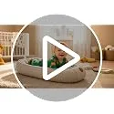Totsy Baby ▫️ Baby Nest Bebé – Ninho redutor, macio, fofo e portátil para bebés 7
