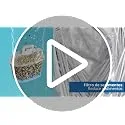 PHILIPS ▫️ Water Cartuchos de filtro de água de substituição Antical+, embalagem de 6 filtros, ATÉ 50 % MAIS REDUÇÃO DE CAL, , Compatível com Brita* 7