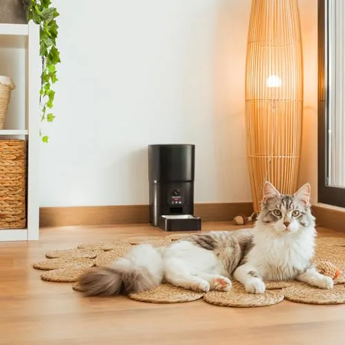 Cecotec ▫️ Comedouro Automático para Animais de Estimação com Controlo Wi-Fi, Câmara e Gravador de Voz Pumba 6000 Purrfect Meal Smart Vision. 6 L, ração até 10 mm, alarme, tigela em aço inoxidável 2