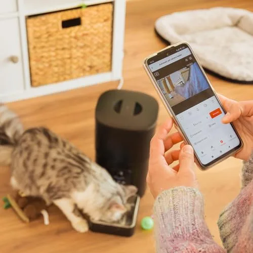 Cecotec ▫️ Comedouro Automático para Animais de Estimação com Controlo Wi-Fi, Câmara e Gravador de Voz Pumba 6000 Purrfect Meal Smart Vision. 6 L, ração até 10 mm, alarme, tigela em aço inoxidável 4