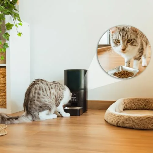Cecotec ▫️ Comedouro Automático para Animais de Estimação com Controlo Wi-Fi, Câmara e Gravador de Voz Pumba 6000 Purrfect Meal Smart Vision. 6 L, ração até 10 mm, alarme, tigela em aço inoxidável 5