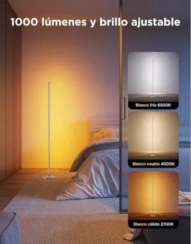 Govee ▫️ Lâmpada de pé LED RGBIC com regulação de intensidade 2700-6500K, cor prateada 6