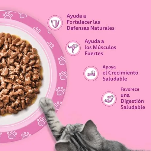 Whiskas ▫️ Duo Comida húmida em molho para gatos jovens - Mistura clássica - 13 x 4 saquinhos de 85 g 5