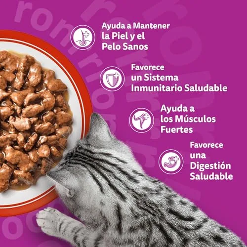 Whiskas ▫️ Duo Ração húmida em molho para gatos adultos - Mistura de receitas clássicas - 4 x 12 saquinhos de 85 g 5