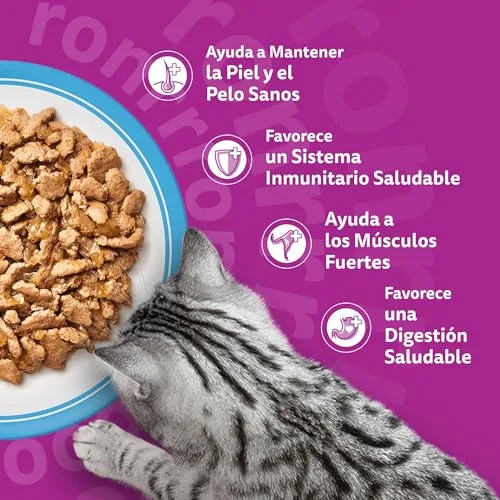 Whiskas ▫️ Comida Húmida para Gatos Adultos - Seleção de Peixe em Gelatina (Multipack 4x12x85 g) 5
