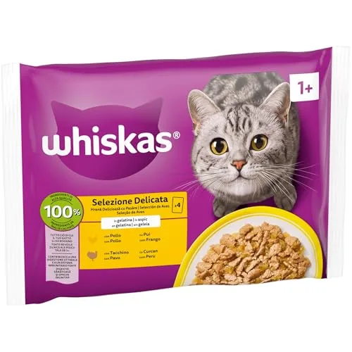 Whiskas ▫️ Comida Húmida para Gatos Adultos - Seleção de Aves em Gelatina (13 x 4 saquinhos de 85 g) 2