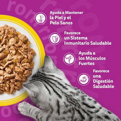 Whiskas ▫️ Comida Húmida para Gatos Adultos - Seleção de Aves em Gelatina (13 x 4 saquinhos de 85 g) 5