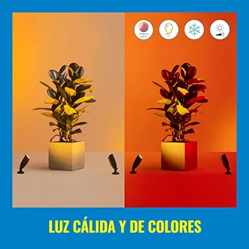 WiZ ▫️ Luminária inteligente de exterior de 4 W, luz branca e colorida, adequada para exterior (IP44), Wi-Fi, tecnologia SpaceSense, compatível com o Google Home, a Amazon Alexa ou os atalhos da Siri 3