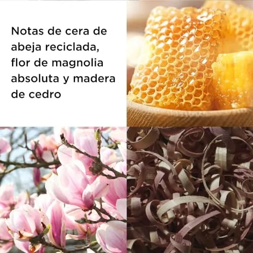 Elizabeth Arden ▫️ Sunflowers HoneyDaze, fragrância frutada e floral para mulher, com flor de magnólia e jasmim, 100 ml 3