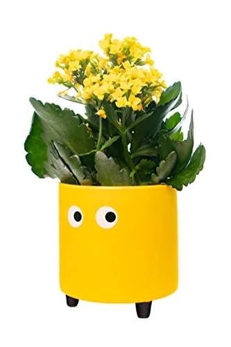 Fisura ▫️ Vaso original com desenho de olhos. Decoração de interior. Vaso com pés para cactos. Vaso de cerâmica amarelo para flores e suculentas. 13 x 12,5 cm. 4