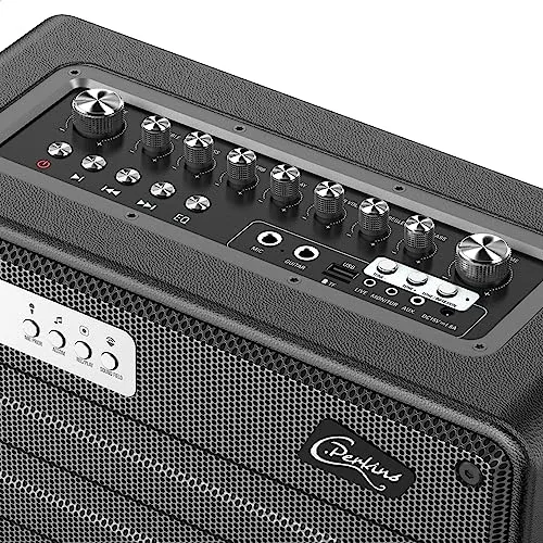 C.Perkins ▫️ ROADY-FL - O sistema «tudo-em-um» profissional a pilhas de 100 W com 1 microfone sem fios UHF e várias funções - Bluetooth, USB, jack, Micro-SD - Pele preta 2