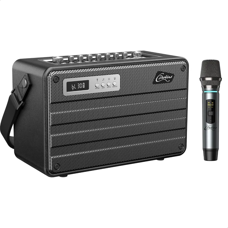 C.Perkins ▫️ ROADY-FL - O sistema «tudo-em-um» profissional a pilhas de 100 W com 1 microfone sem fios UHF e várias funções - Bluetooth, USB, jack, Micro-SD - Pele preta