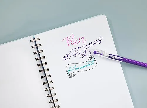 PILOT ▫️ Caixa de 12 canetas FriXion Ball Stick - Tinta de gel apagável - 4 azuis, 4 pretas, 2 vermelhas, 2 verdes - Ponta média 5