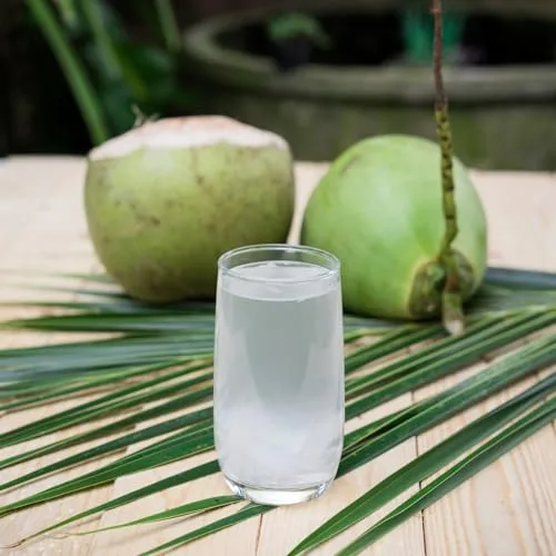 Bamboo Tree ▫️ Água de Coco Natural 330 ml - Sem Açúcar 4