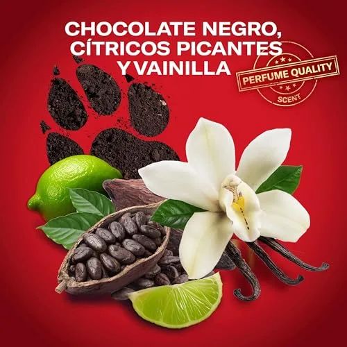 Old Spice ▫️ Night Panther Desodorizante em barra para homem, 6x50 ml 4