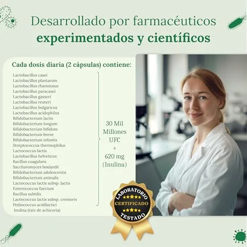 RAIBU ▫️ Probióticos e prebióticos intestinais com 25 estirpes bacterianas + inulina, 180 cápsulas - 60 mil milhões de UFC: flora intestinal completa - Lactobacillus, Bifidobacterium, concentração máxima 5