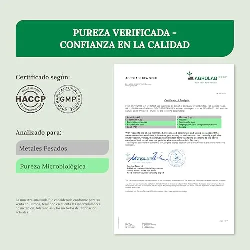 RAIBU ▫️ Probióticos e prebióticos intestinais com 25 estirpes bacterianas + inulina, 180 cápsulas - 60 mil milhões de UFC: flora intestinal completa - Lactobacillus, Bifidobacterium, concentração máxima 6